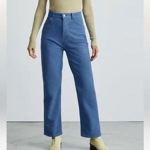 Everlane Moleskin Way-High Pant size 6
